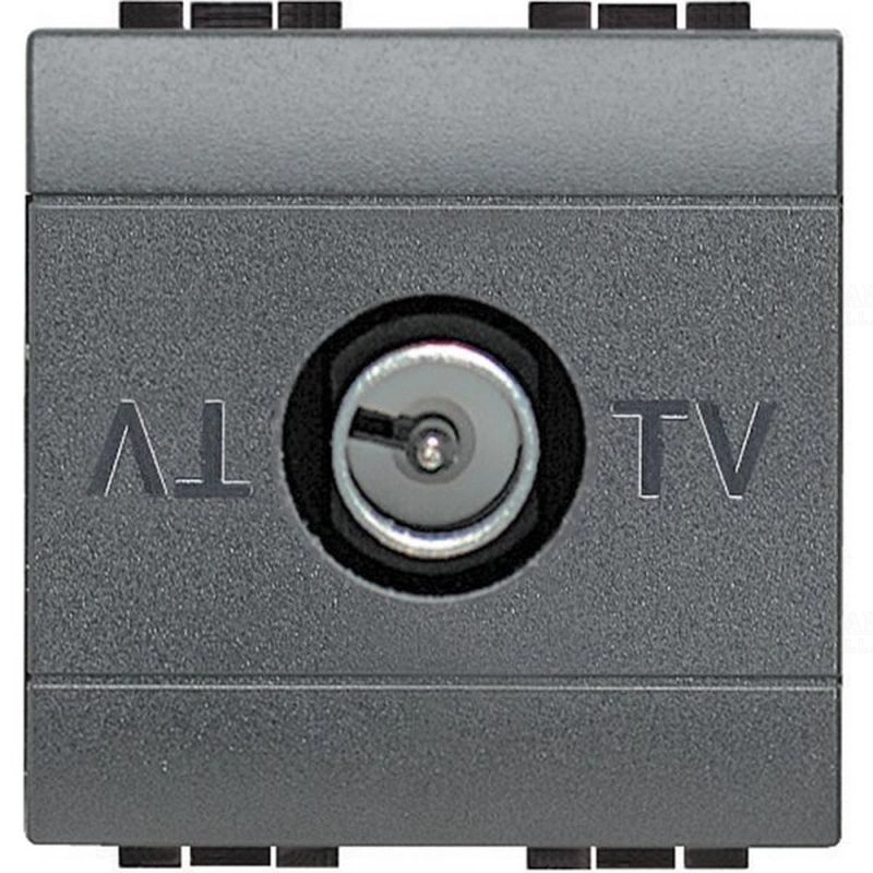 BITL4202D2