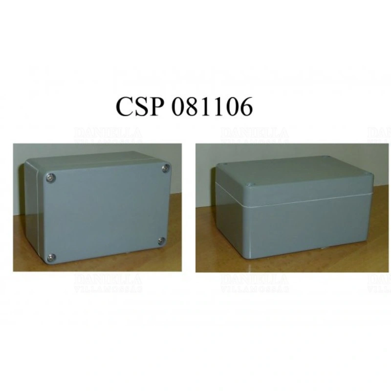 CSP10081106
