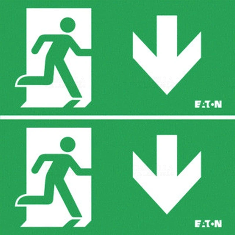 EATESPIDD
