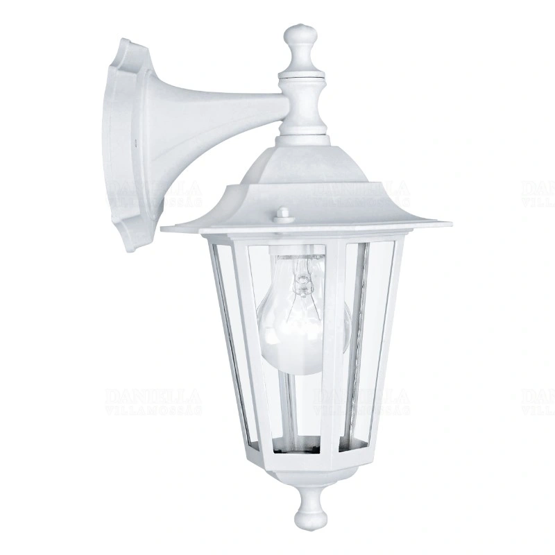 EGL22462