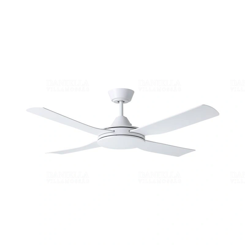 EGL35088