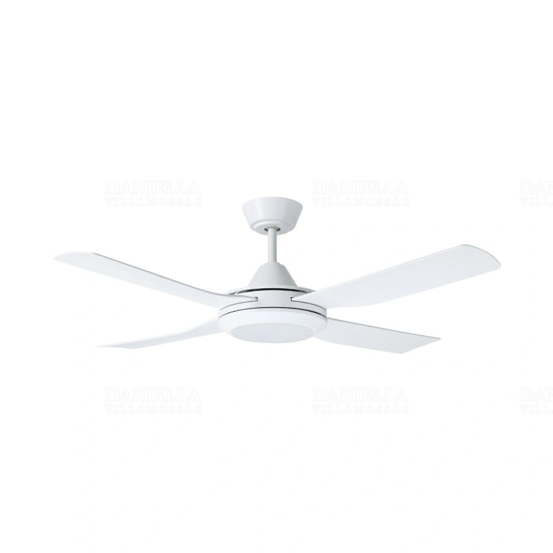 EGL35089