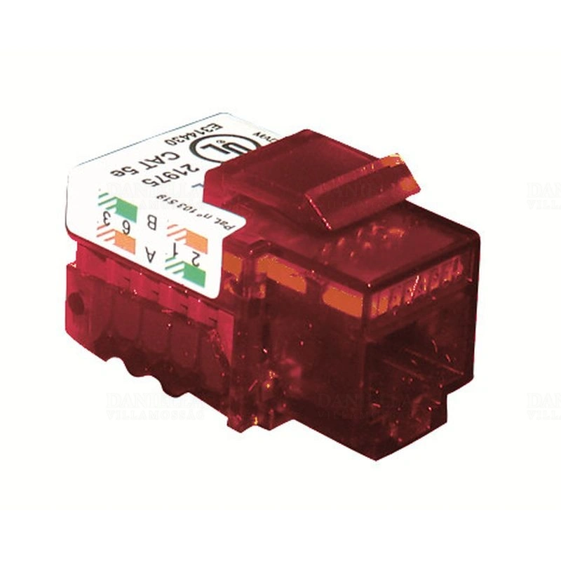 EKP21978