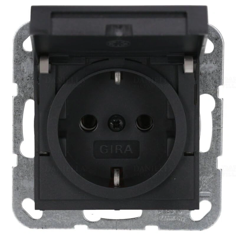 GIRA445428