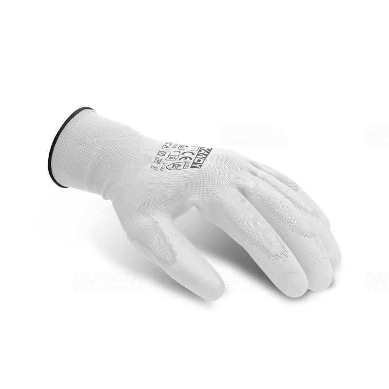 GLO11135L12