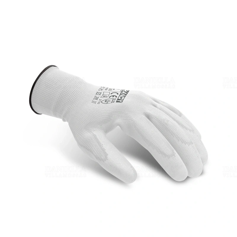 GLO11135L12