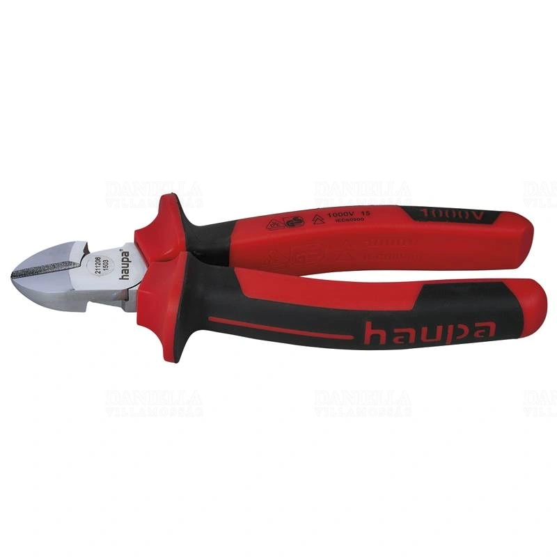 HAU211206