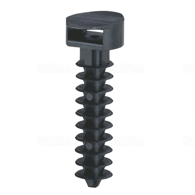 LEG031955