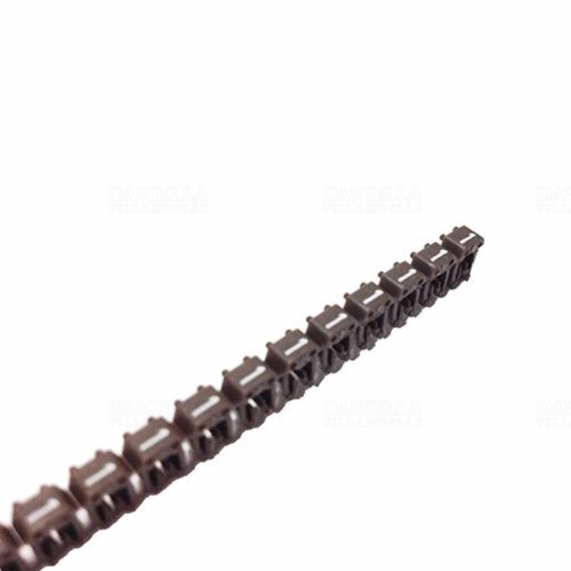 LEG038211