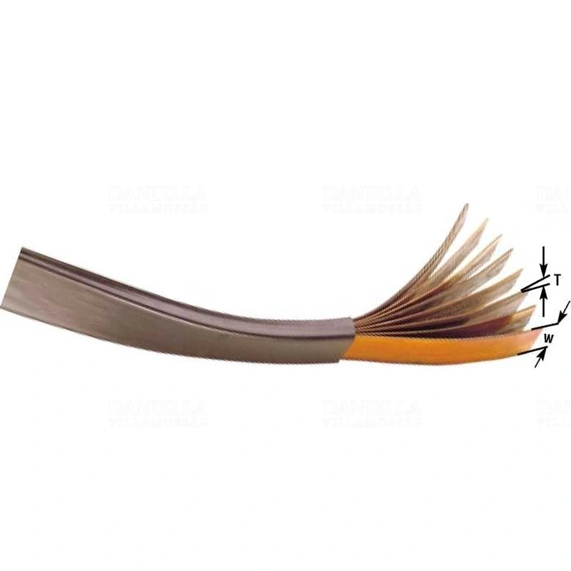 RAY007085243