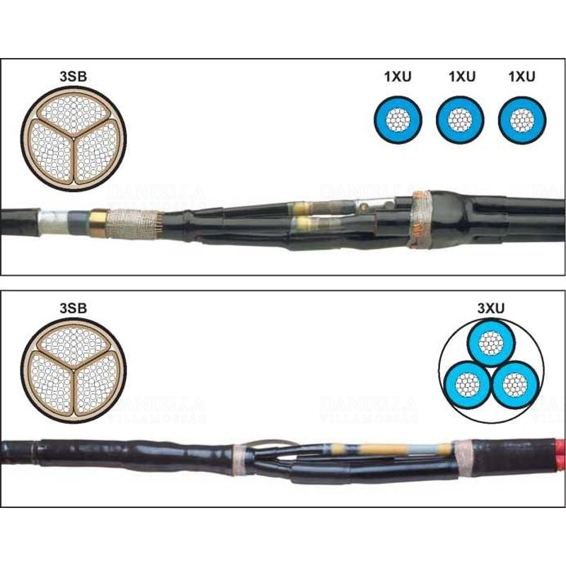 RAY179240000