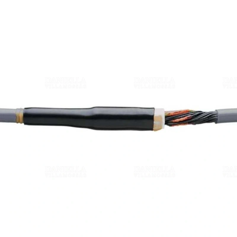 RAY805076000