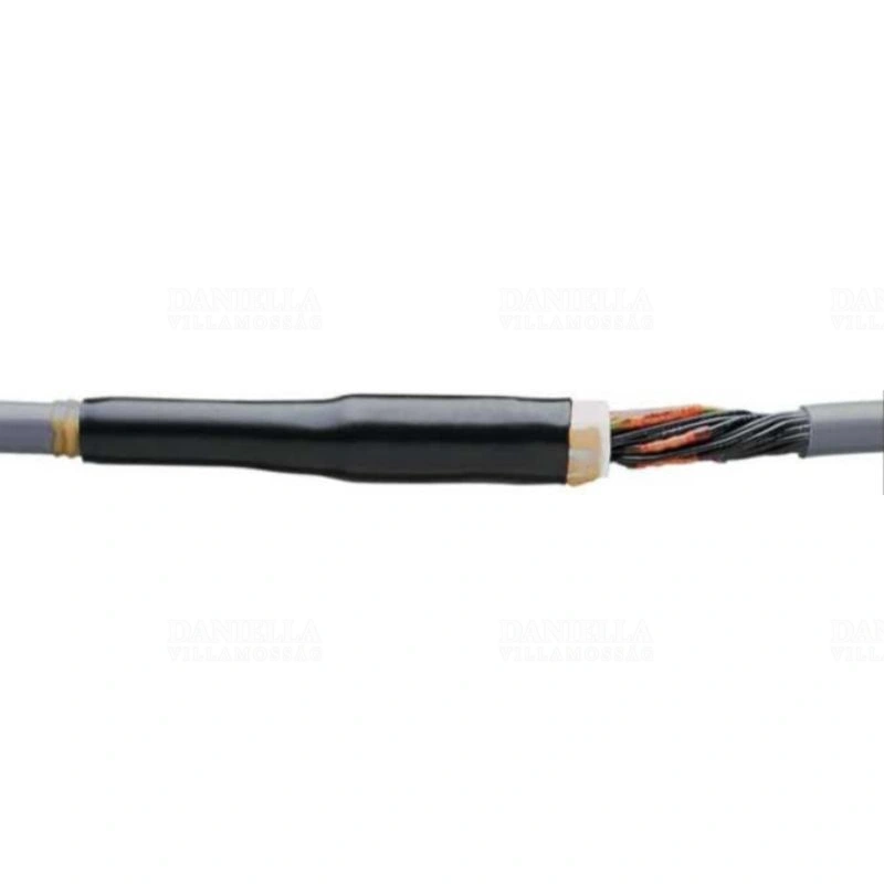 RAY810798000