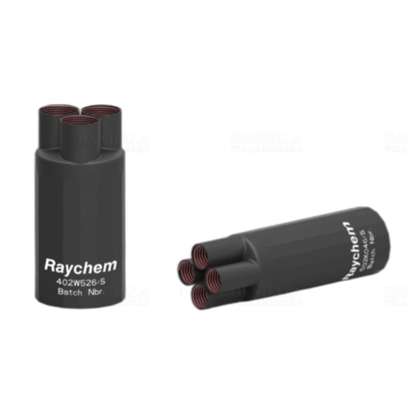 RAYC22917N001