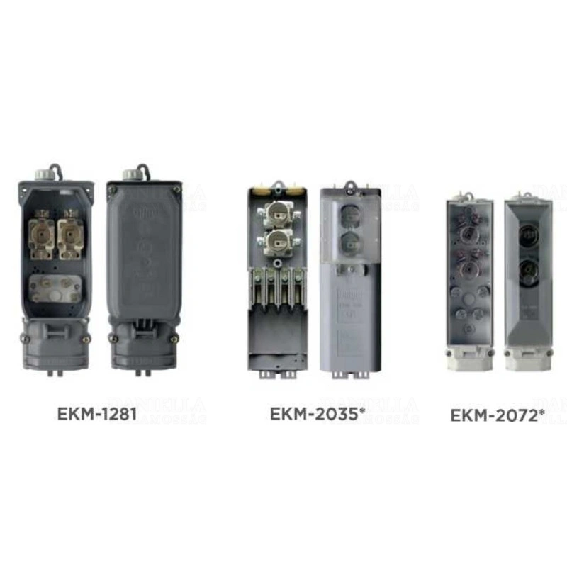 RAYC74279000