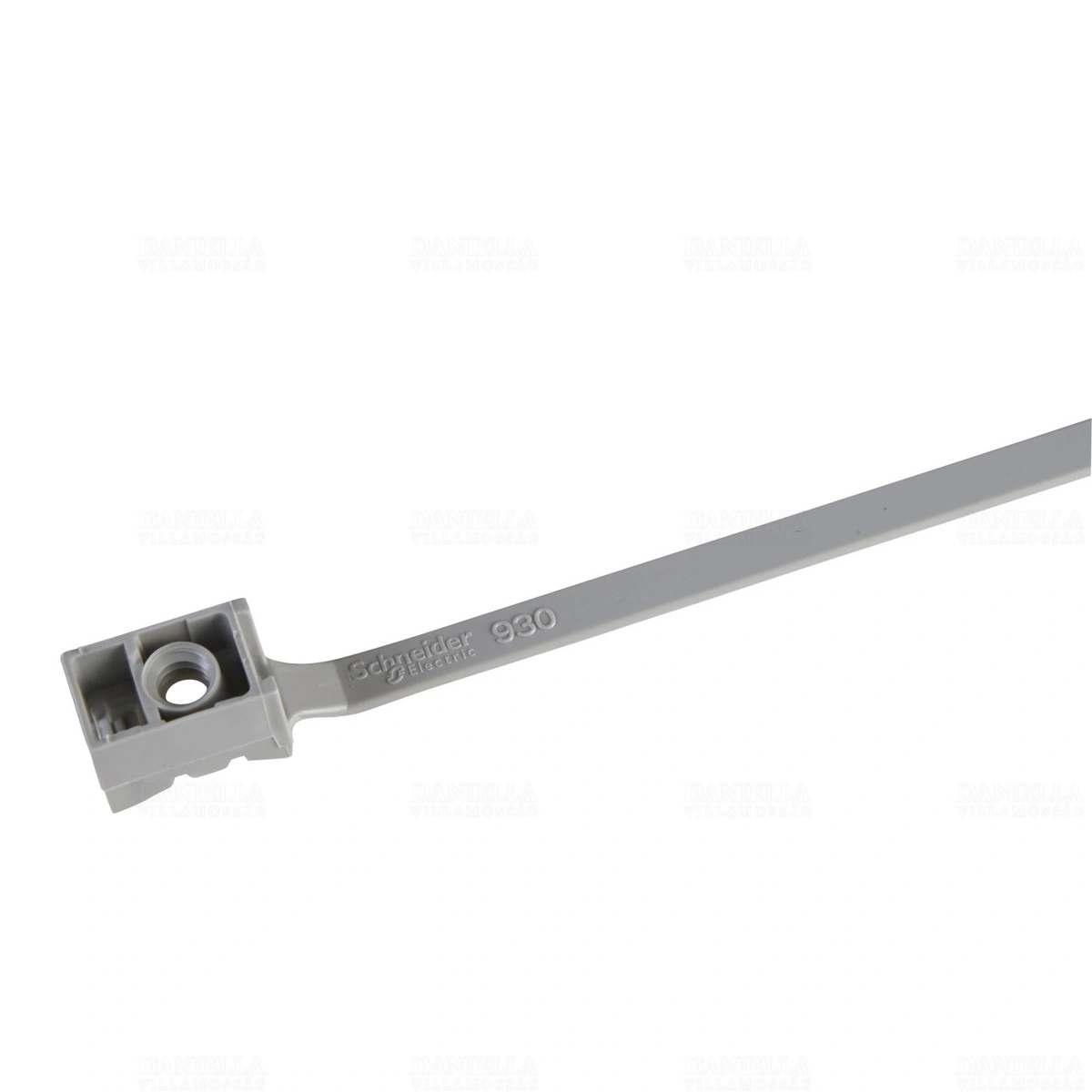 SCHENN47930