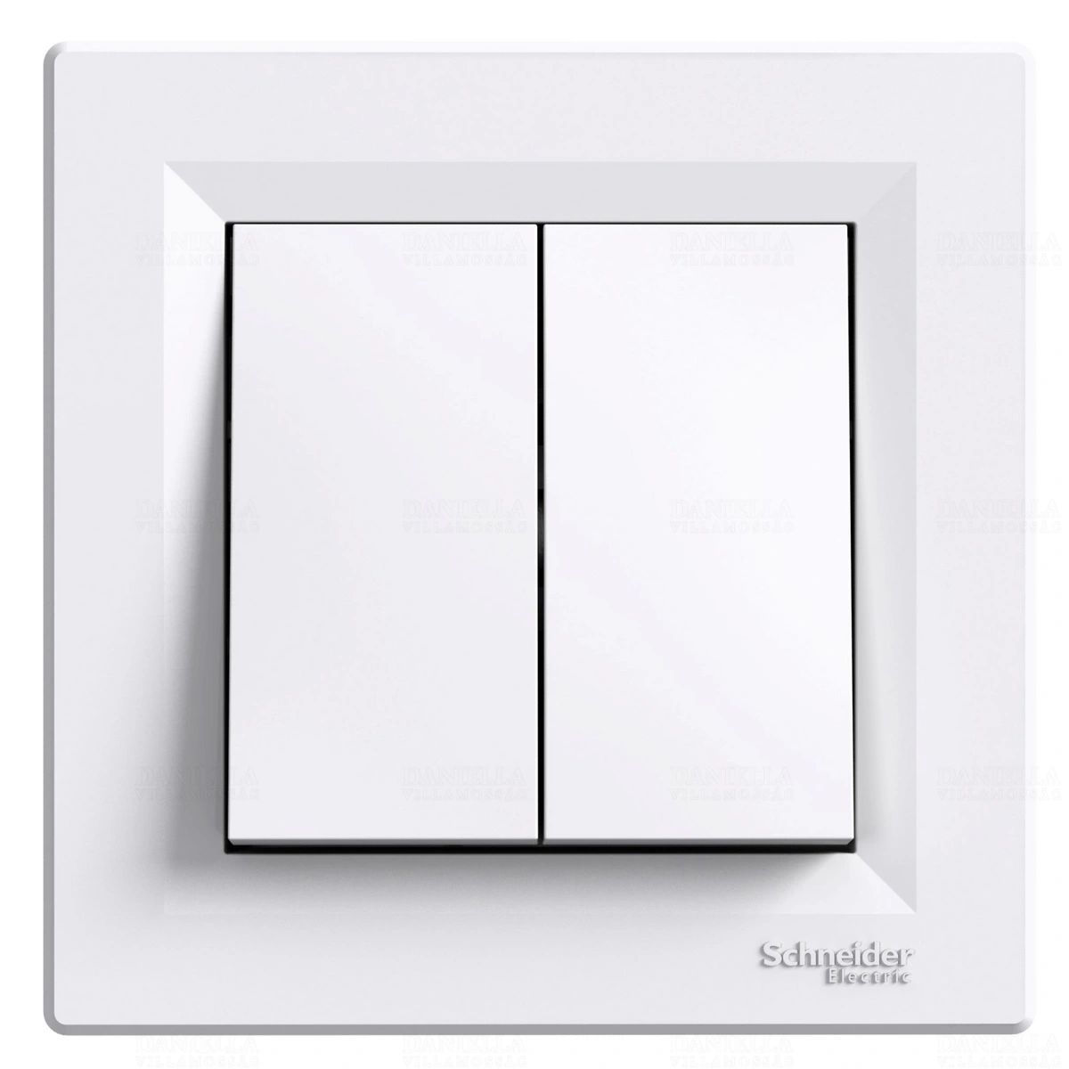 SCHEPH0300321