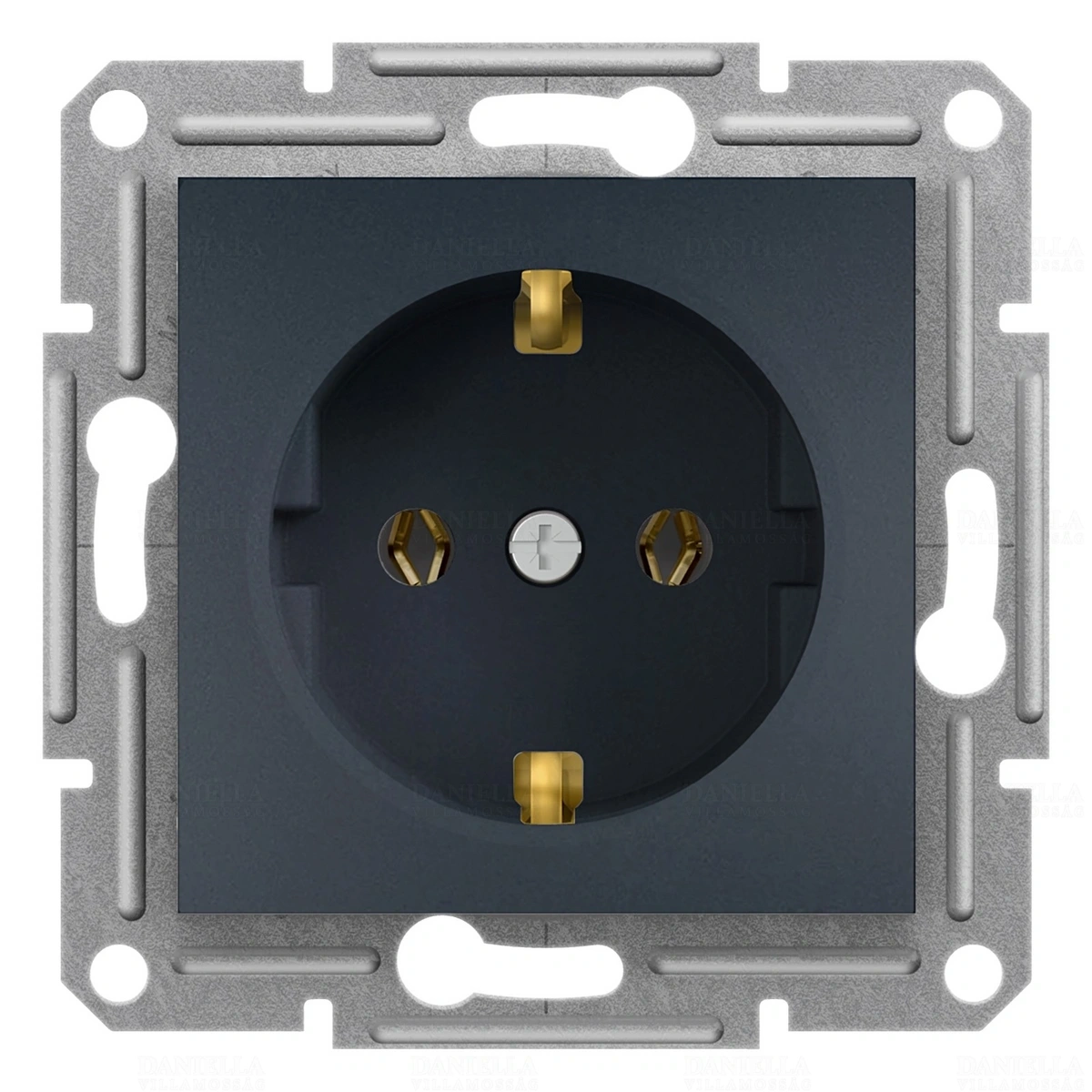 SCHEPH2900171