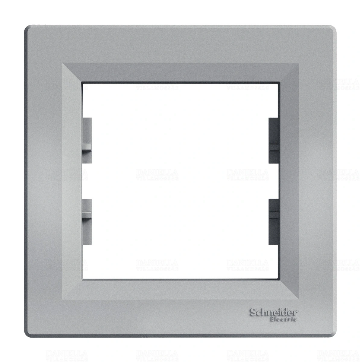 SCHEPH5800161