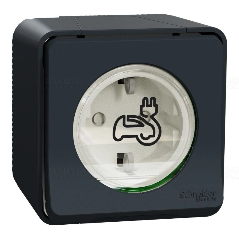SCHMUR36012
