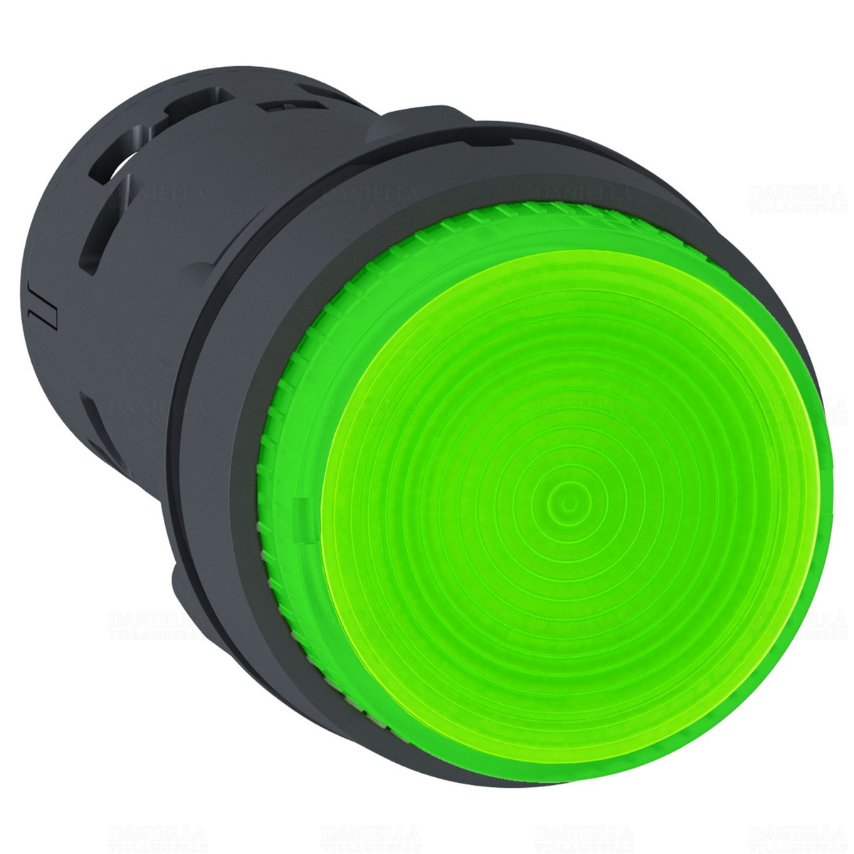 XB7NW33B1 Világító nyomógomb LED, 1NO, zöld Schneider