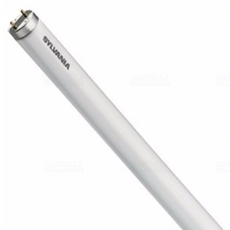 SYL0001530