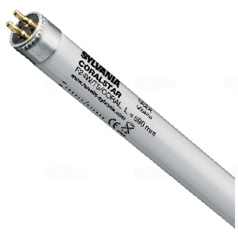 SYL0002748