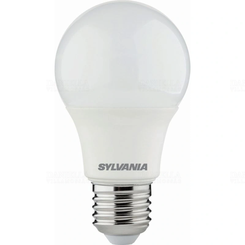 SYL0029585