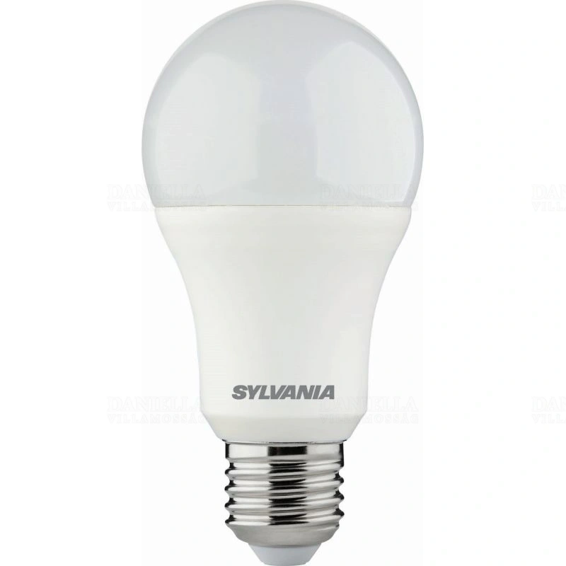 SYL0029594