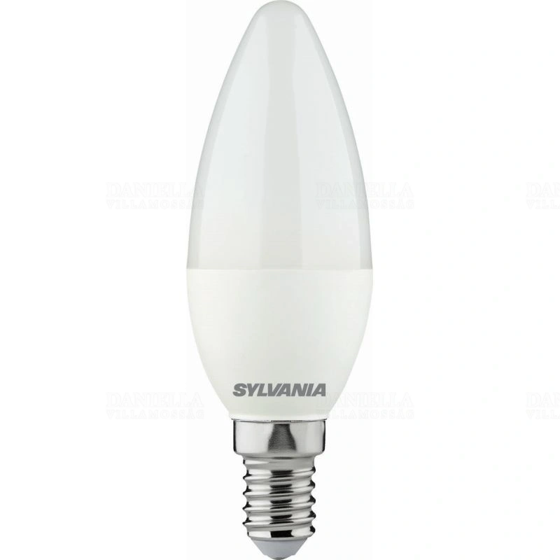 SYL0029613
