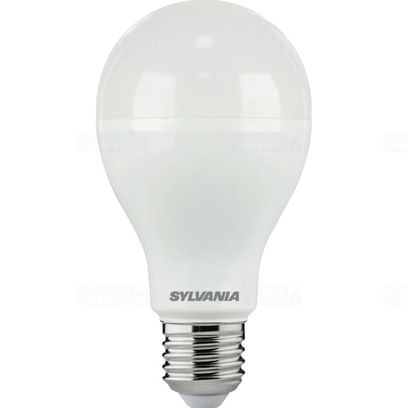 SYL0030042