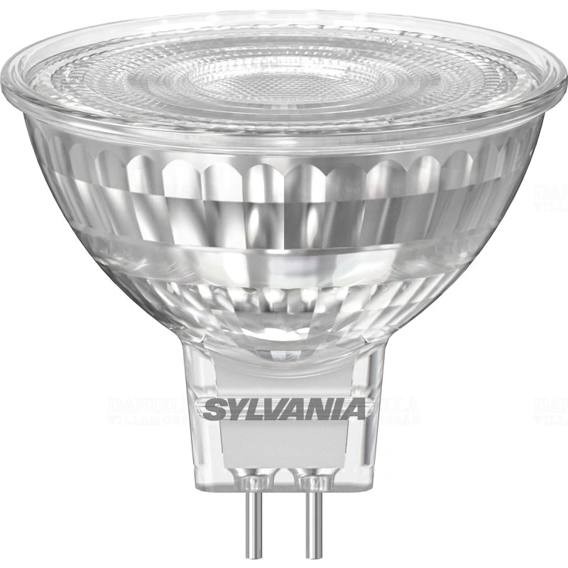 SYL0031822